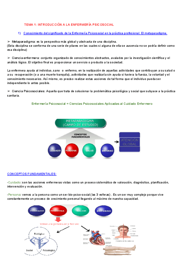 Miniatura del documento TEMA-1-INTRODUCCION-A-LA-ENFERMERIA-PSICOSOCIAL.pdf