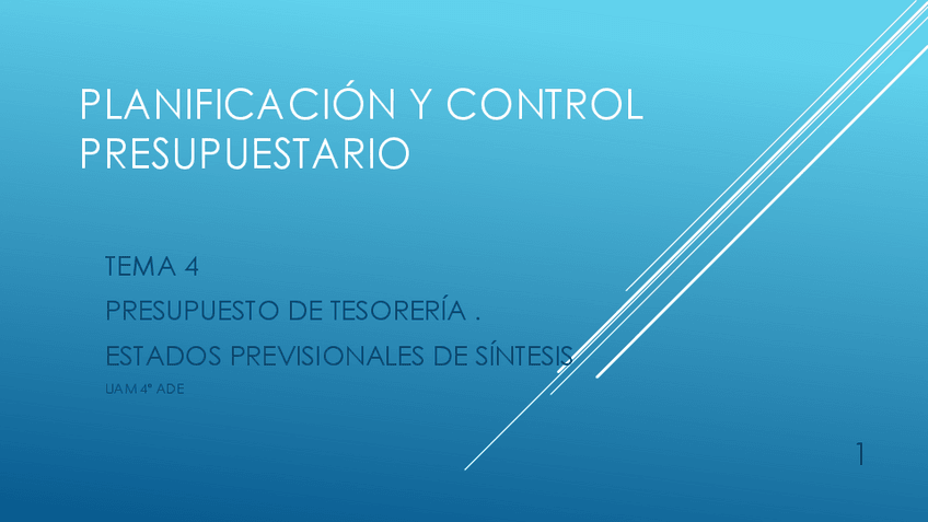 Miniatura del documento TEMA-4-Presupuesto-TesorerAa-y-E-Sintesis.pdf