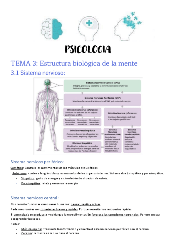 Miniatura del documento T3-Psicologia.pdf