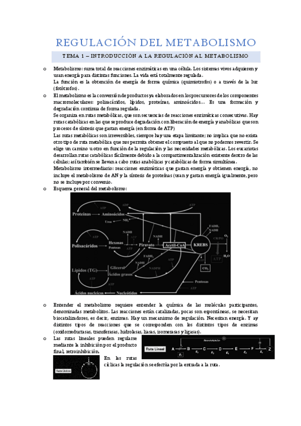 Miniatura del documento R.-Metabolismo-1-5.pdf