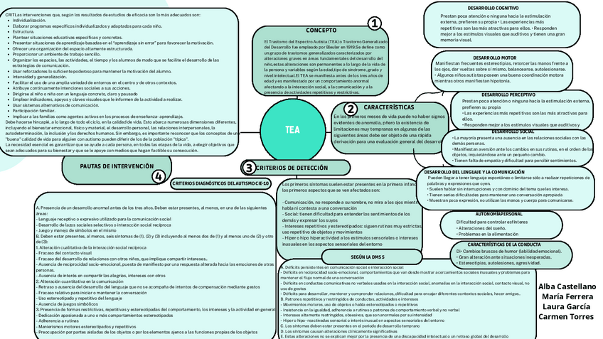 Miniatura del documento MAPA-MENTAL-SOBRE-TEA.pdf