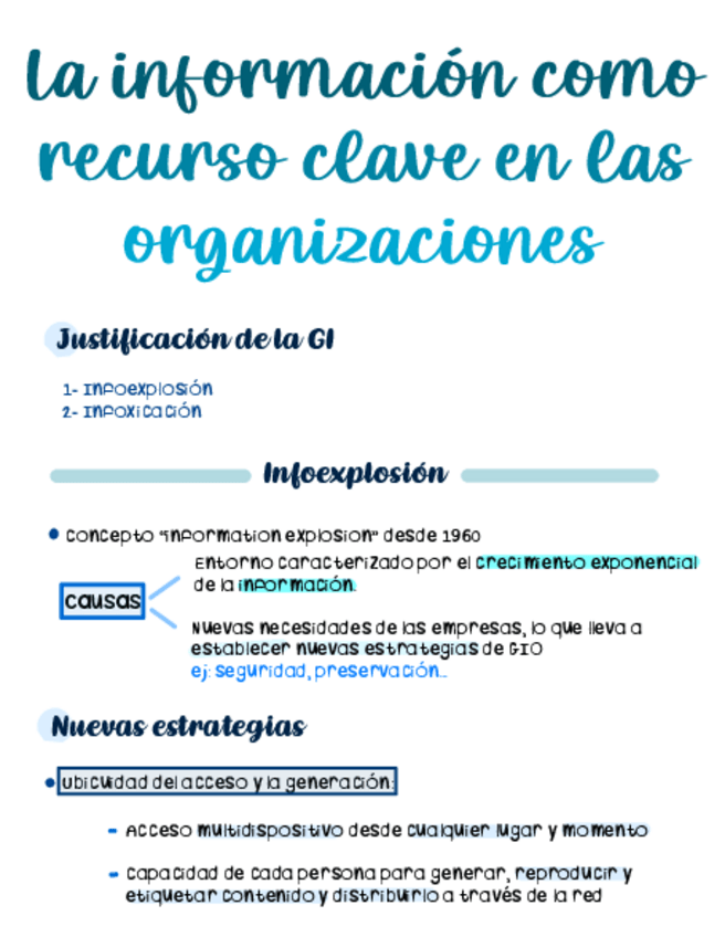 Miniatura del documento Tema 2 La información como recurso clave en las organizaciones.pdf