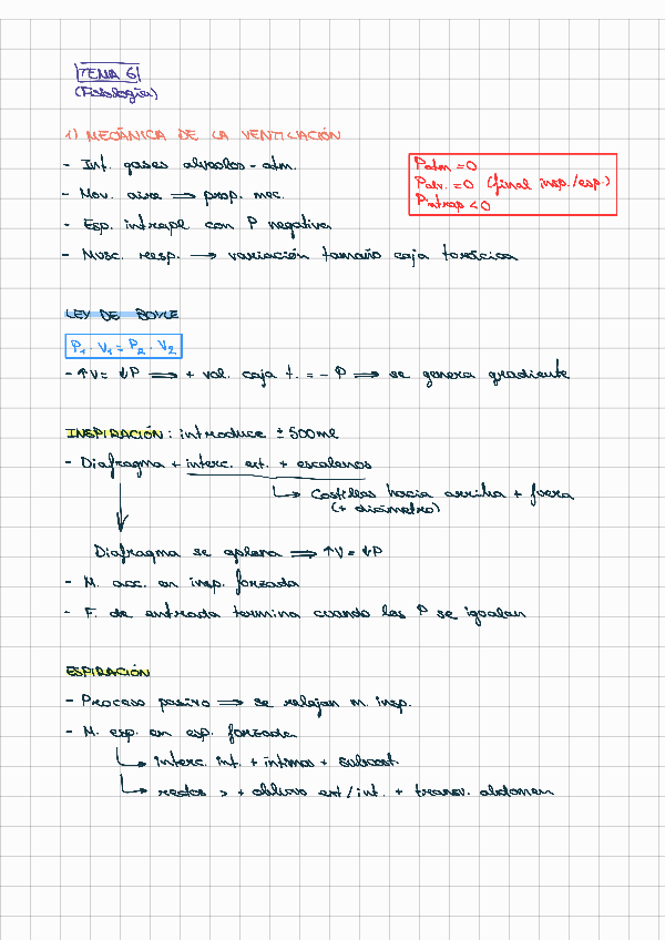Miniatura del documento ESQUEMAS-T3.6-RESPIRATORIO.pdf