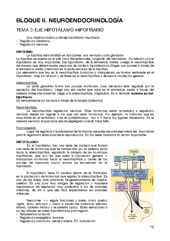 Miniatura del documento FISIOLOGÍA III- BLOQUE II. NEUROENDOCRINOLOGÍA.pdf