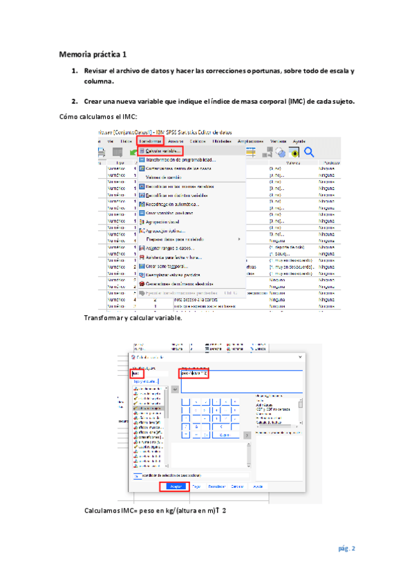 Miniatura del documento Memoria-practica-1analisis-de-datos.pdf
