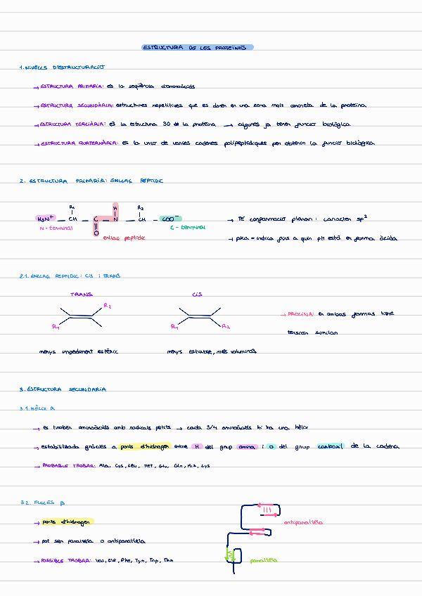 Miniatura del documento cap-3-estructura-de-les-proteines.pdf