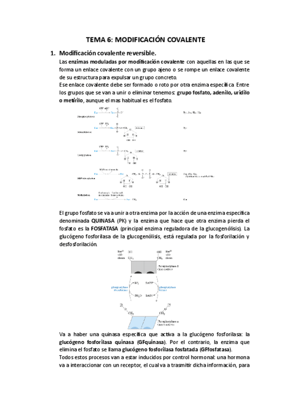 Miniatura del documento TEMA-6.pdf