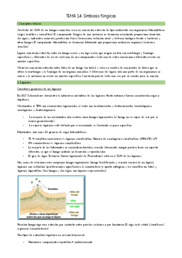 Miniatura del documento TEMA-14-Botanica.pdf