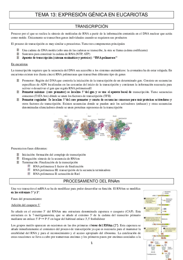 Miniatura del documento tema-13.pdf