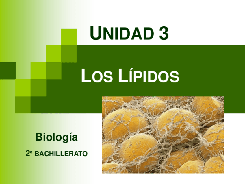 Miniatura del documento 3.-Los-lipidos-Bio-2o-Bach.pdf