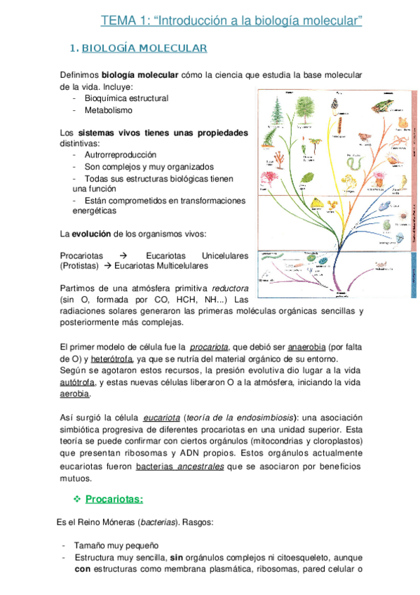 Miniatura del documento TEMA 1.docx