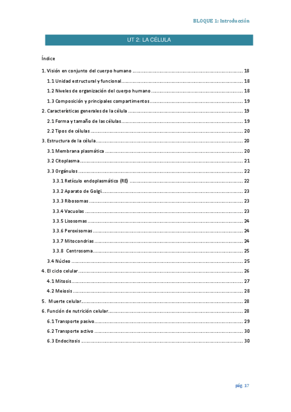 Miniatura del documento UT2-La-celula--Actividades-Resumido.pdf