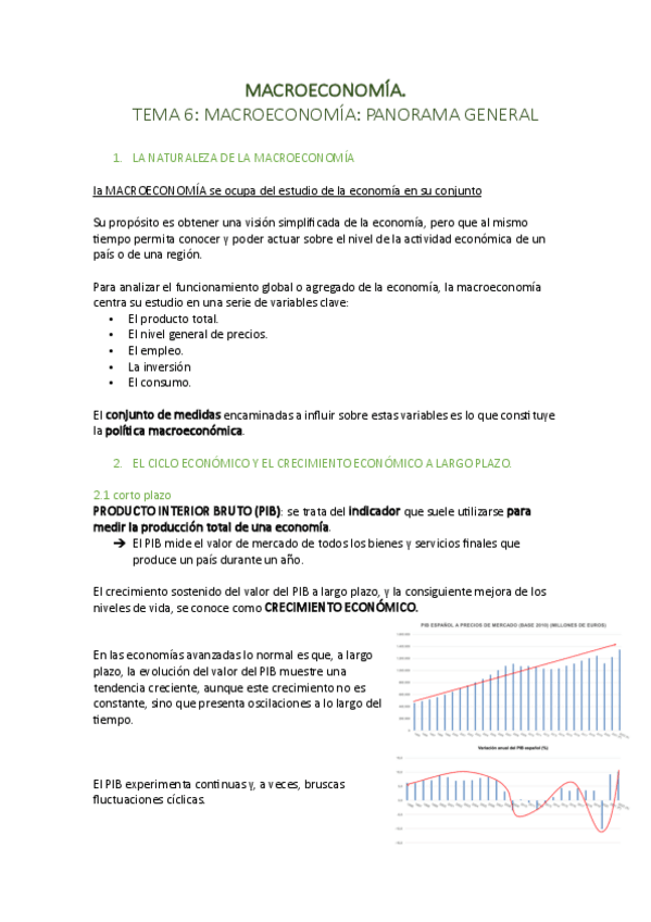 Miniatura del documento apuntes ECONOMIA tema 6.pdf