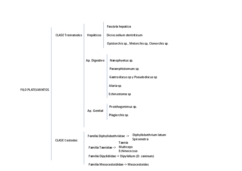 Miniatura del documento PLATELMINTOS-2º PARCIAL.pdf