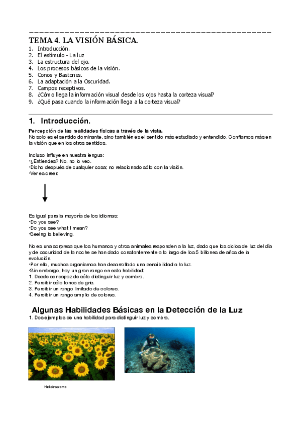 Miniatura del documento Percepcion-t.-4-y-5.pdf