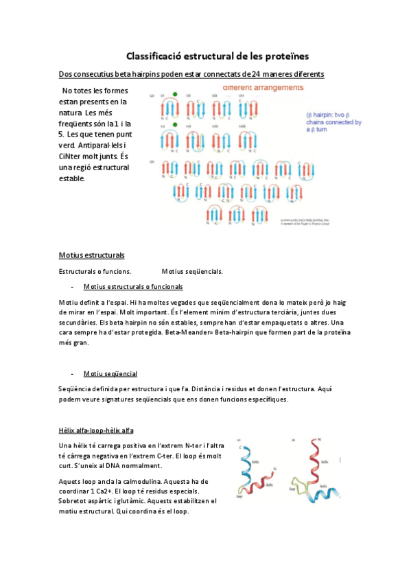 Miniatura del documento Apunts-tema-4.pdf