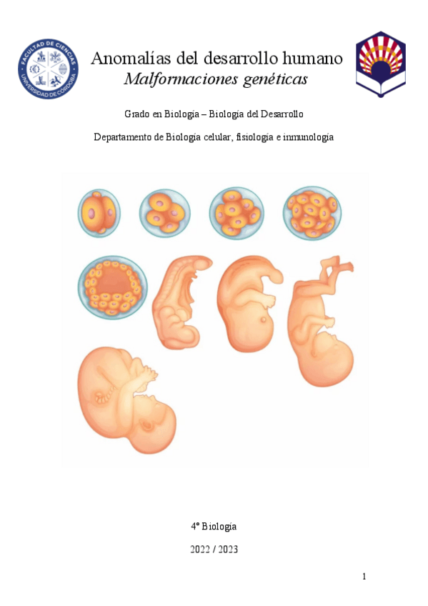 Miniatura del documento Seminario-Malformaciones-Geneticas.pdf