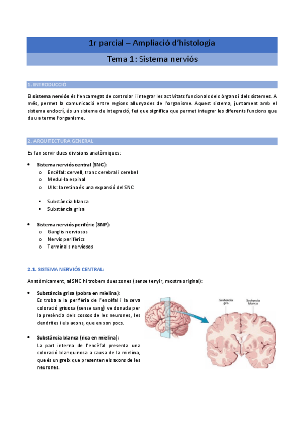 Miniatura del documento 1r-parcial-Ampliacio-dhistologia.pdf