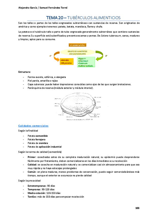Miniatura del documento Tema-20-Tuberculos.pdf
