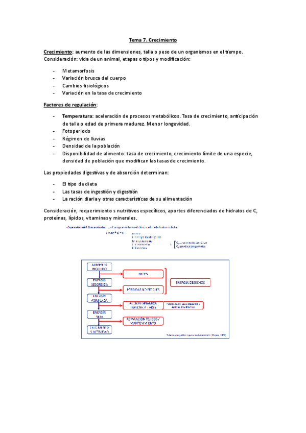 Miniatura del documento Tema-7.-Crecimiento.pdf