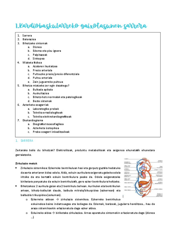 Miniatura del documento kardio-1.pdf