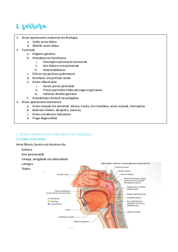 Miniatura del documento respi-1.pdf