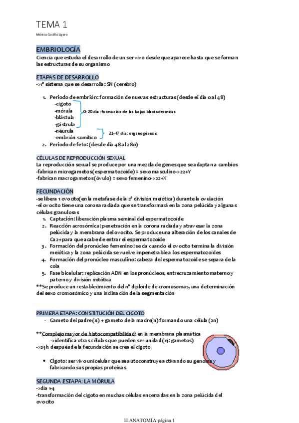 Miniatura del documento TEMA-1.pdf