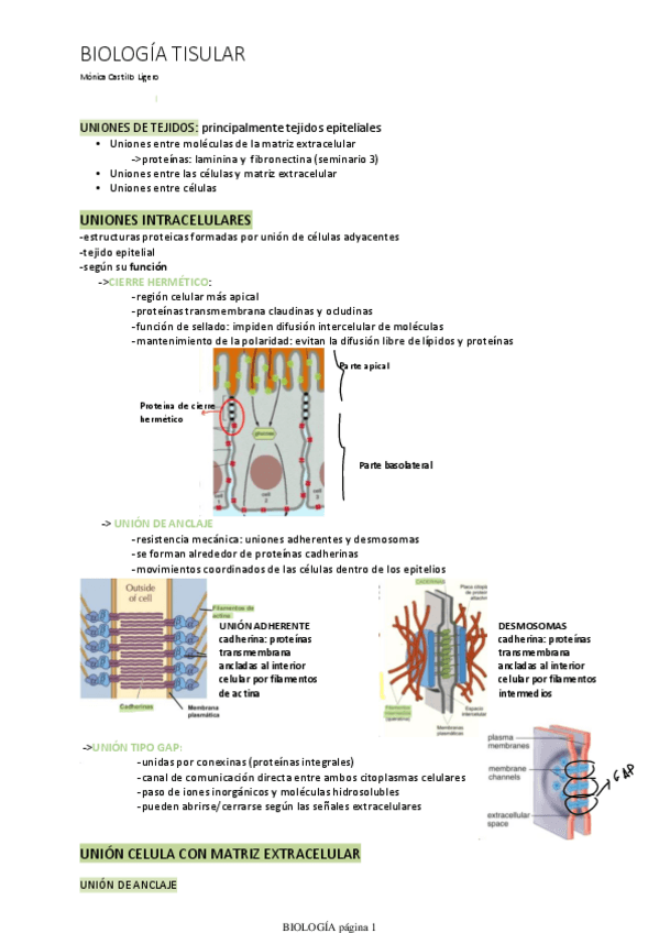 Miniatura del documento TEMA-8.pdf