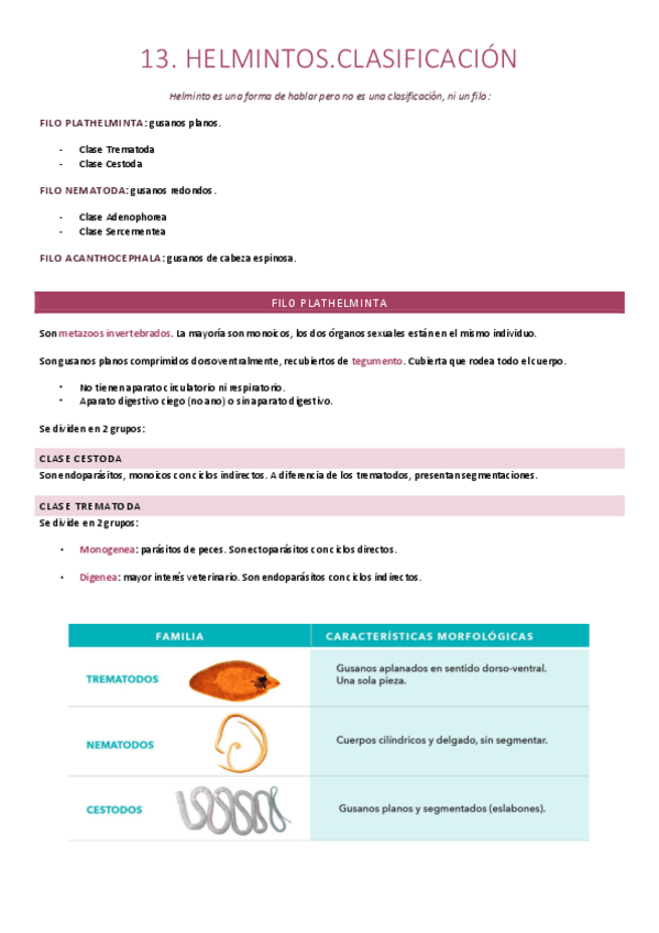 Miniatura del documento 13. Clasificación de Helmintos.pdf