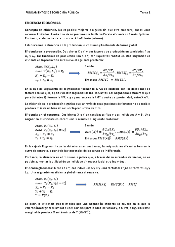 Miniatura del documento TEMA-1.pdf