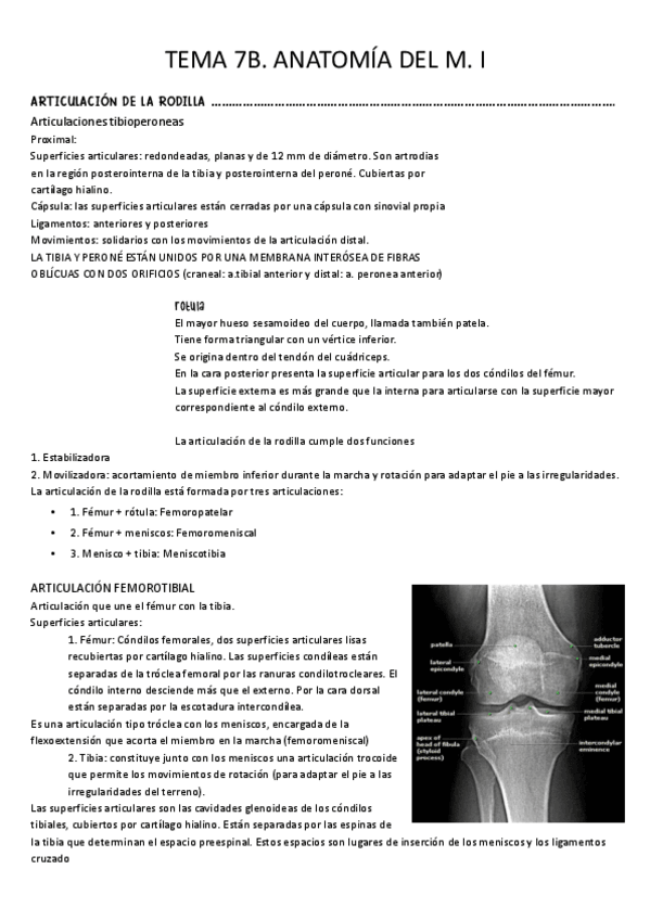 Miniatura del documento Tema-7B.-Anatomia-M.-I.pdf