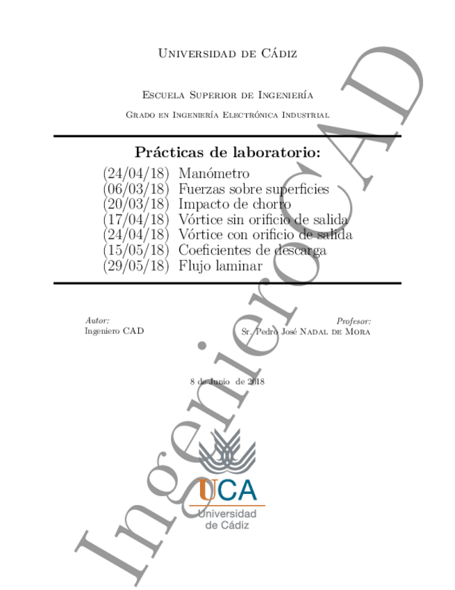 Miniatura del documento Informe de Practicas.pdf