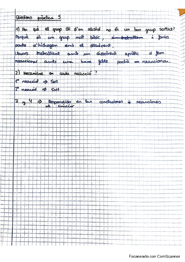 Miniatura del documento questionspractica5LBQO.pdf