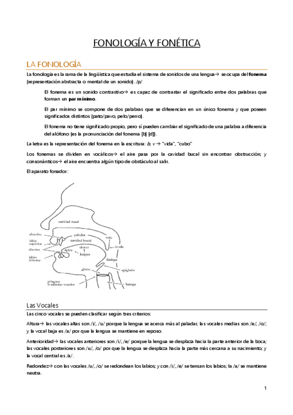 Miniatura del documento Tema2foneticayfonologia.pdf