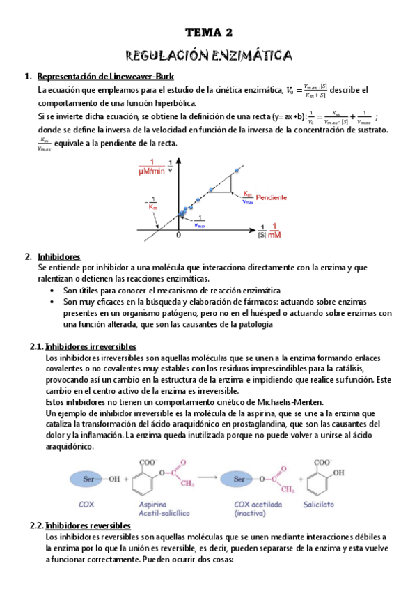 Miniatura del documento TEMA-2-REGULACION-ENZIMATICA.pdf