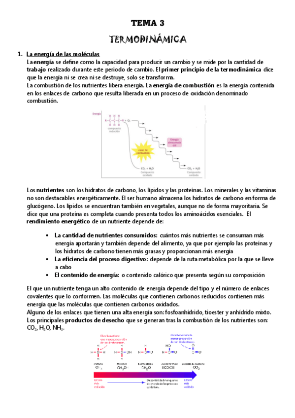 Miniatura del documento TEMA-3-TERMODINAMICA.pdf