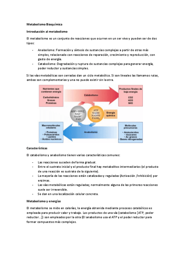 Miniatura del documento BioquimicaMetabolismoIntro.pdf