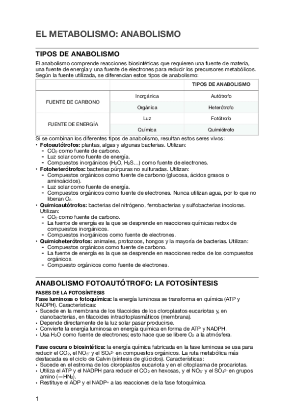 Miniatura del documento EL-METABOLISMO-ANABOLISMO-BIOLOGIA-2BACH.pdf