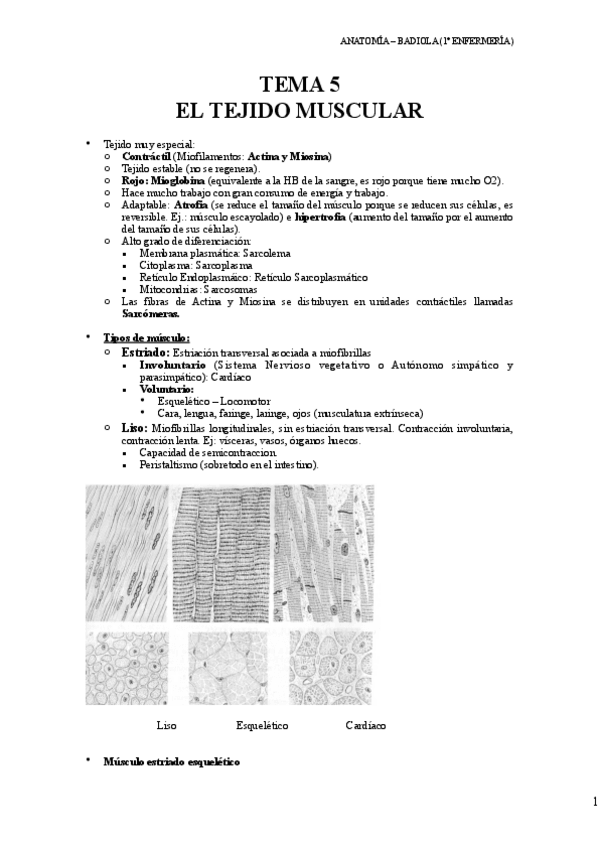 Miniatura del documento Tema-5-Tejido-Muscular.pdf
