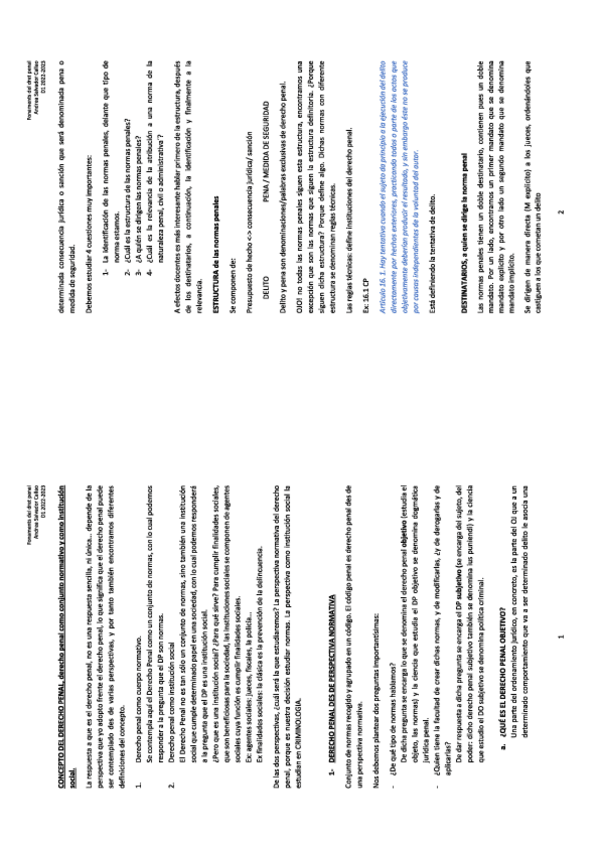 Miniatura del documento penal-final.pdf