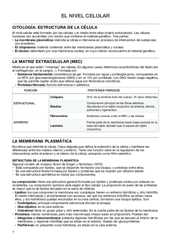 Miniatura del documento EL-NIVEL-CELULAR.pdf