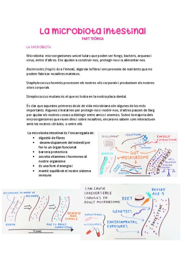 Miniatura del documento SEMINARI-La-microbiota-intestinal.pdf
