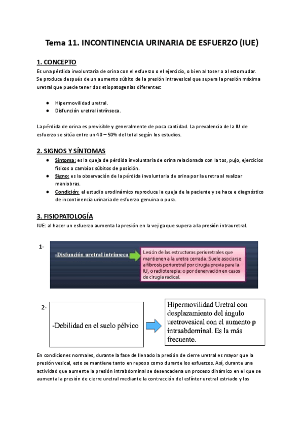 Miniatura del documento Tema-11.-SUELO-PELVICO.pdf