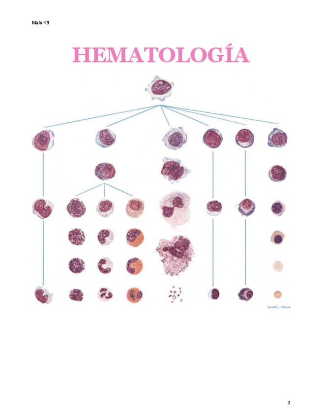 Miniatura del documento Resumen-todo-hemato-PDF con semis.pdf