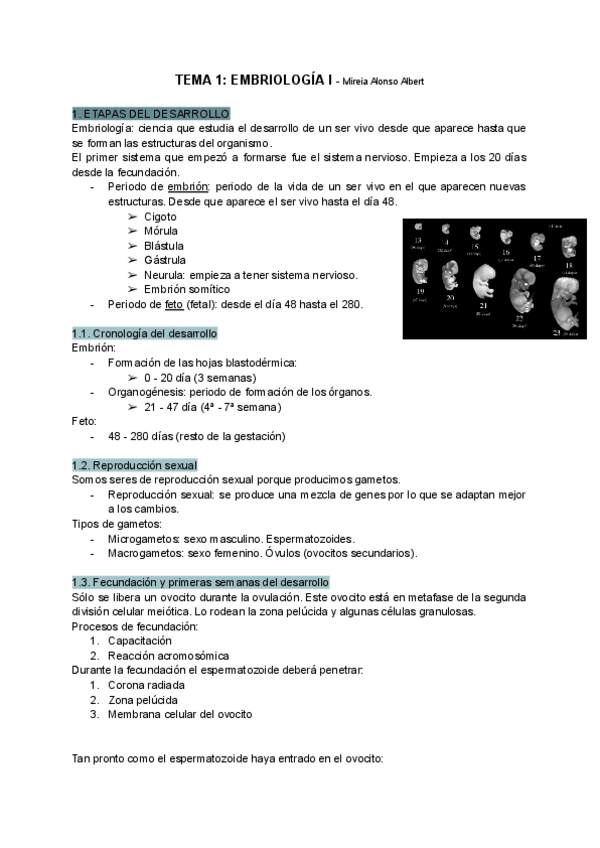 Miniatura del documento Tema-1-Embriologia-I.pdf
