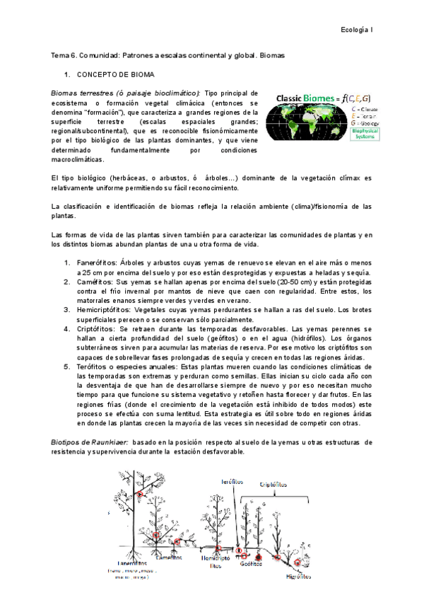 Miniatura del documento Tema-6.-Comunidad-Patrones-a-escalas-continental-y-global.-Biomas.pdf