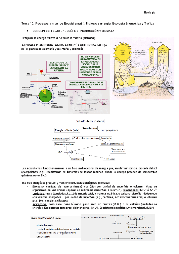 Miniatura del documento Tema-10.-.-Procesos-a-nivel-de-Ecosistema-I..pdf