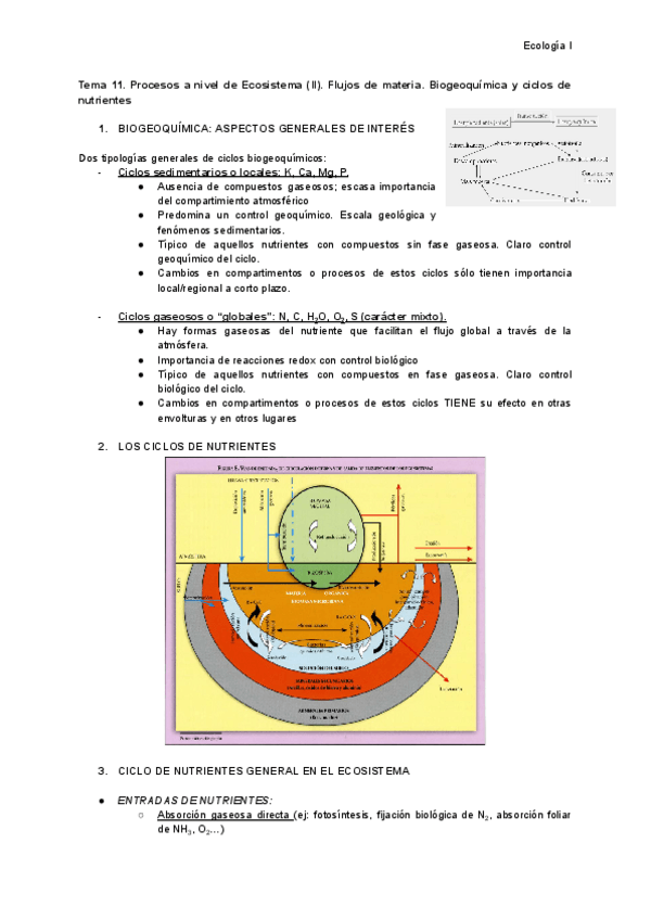 Miniatura del documento Tema-11.-Procesos-a-nivel-de-Ecosistema-II..pdf