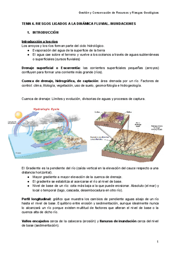 Miniatura del documento TEMA-6.-RIESGOS-LIGADOS-A-LA-DINAMICA-FLUVIAL.-INUNDACIONES.pdf