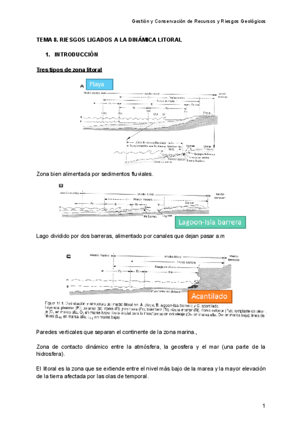 Miniatura del documento TEMA-8.-RIESGOS-LIGADOS-A-LA-DINAMICA-LITORAL.pdf